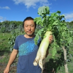 201906 daikon2.jpg